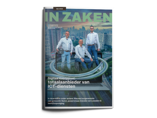 uitgeverij-inzaken-editie